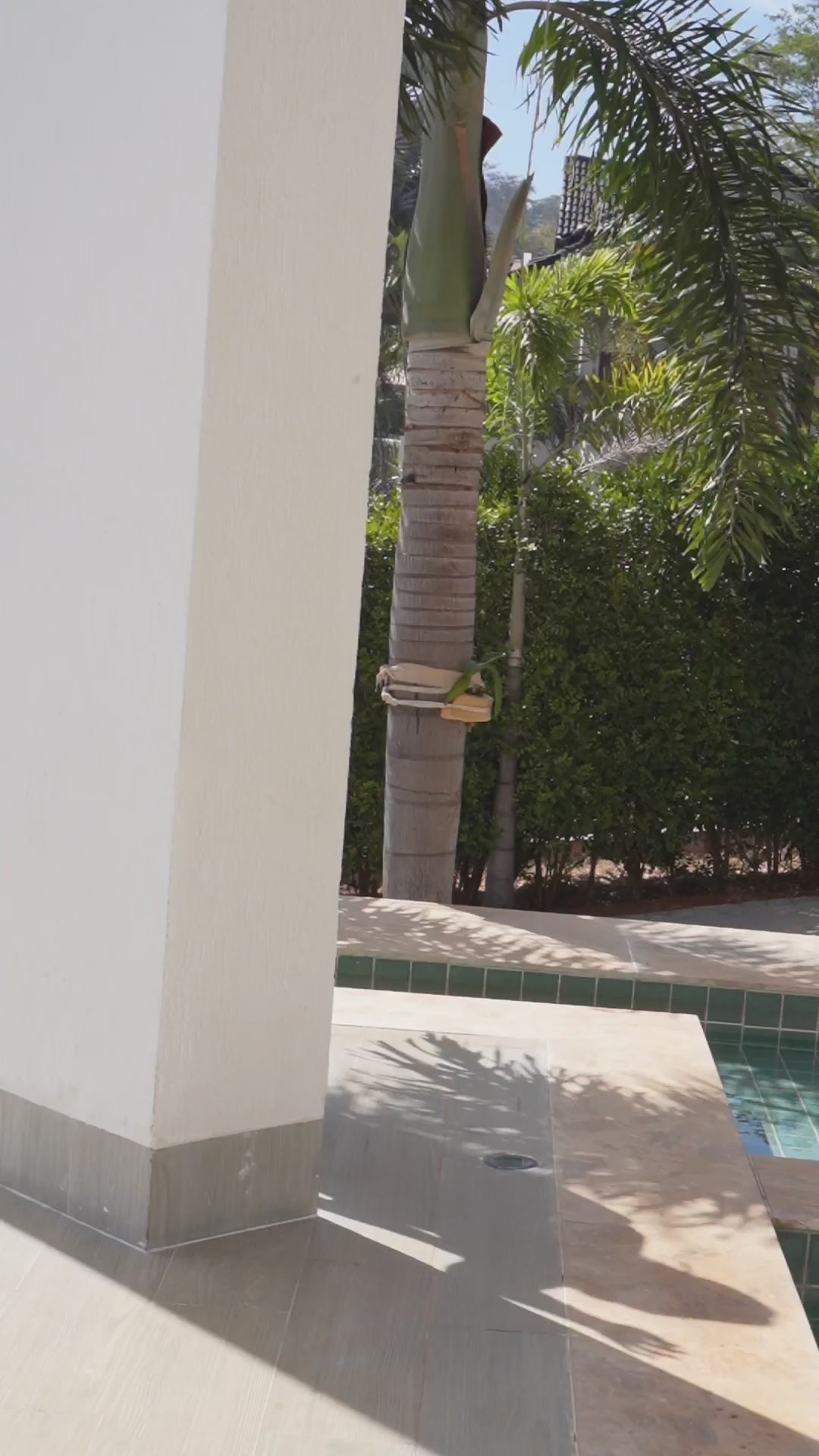 VESTIDO DE FESTA MODELO CELESTIA