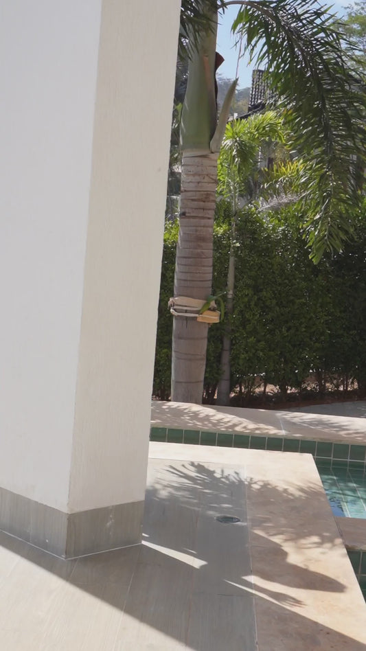 VESTIDO DE FESTA MODELO CELESTIA